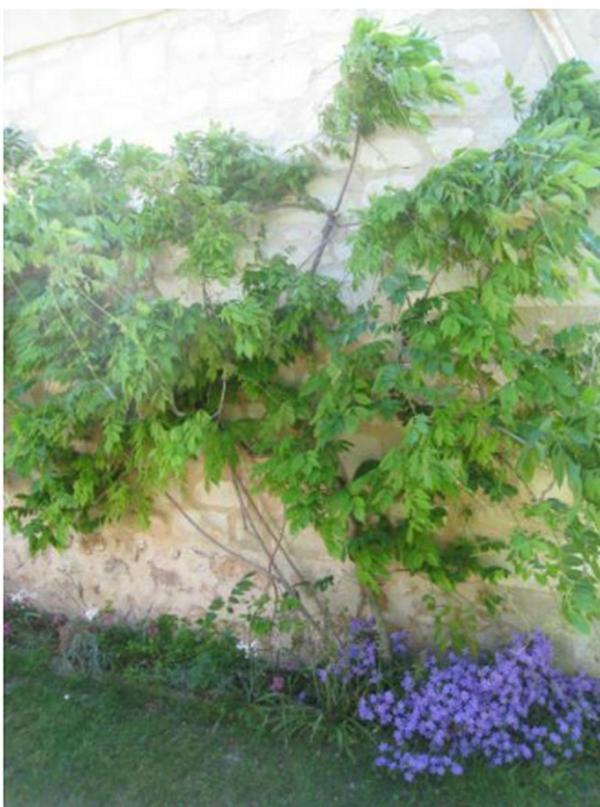 Le Clos De La Chapelle - Gite Les Glycines Exterior foto